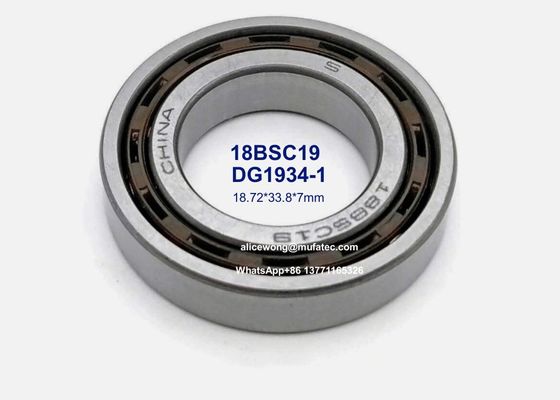 DG1934-1 DG1934 18BSC19 auto steering bearings nylon cage deep groove ball bearings 18.72*33.8*7mm