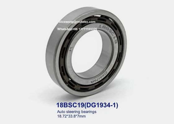 DG1934-1 DG1934 18BSC19 auto steering bearings nylon cage deep groove ball bearings 18.72*33.8*7mm